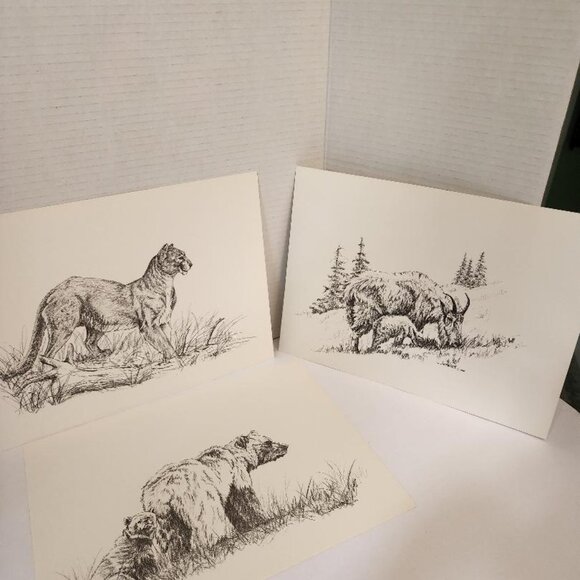 Vint.WESTERN WILDLIFE PORTFOLIO 12 WESTERN WILDLIFE PRINTS B JAMES JOKERST 1983 - Picture 8 of 8